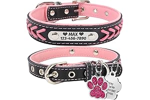 Personalized Dog Collar: Your Dog's Statement Accessory