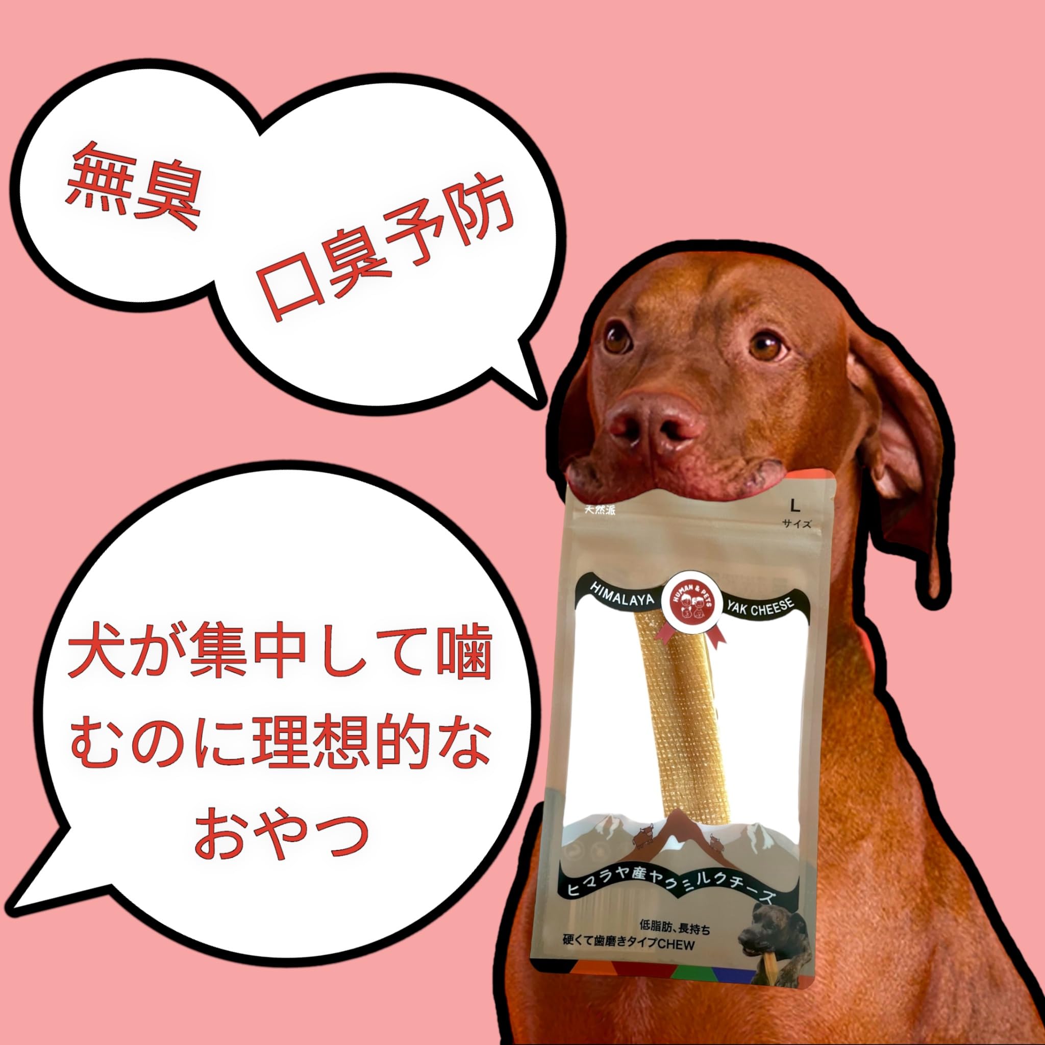 Amazon.co.jp: ヒマラヤ産ヤクチーズ HUMAN&PETSヒューマン＆ペット
