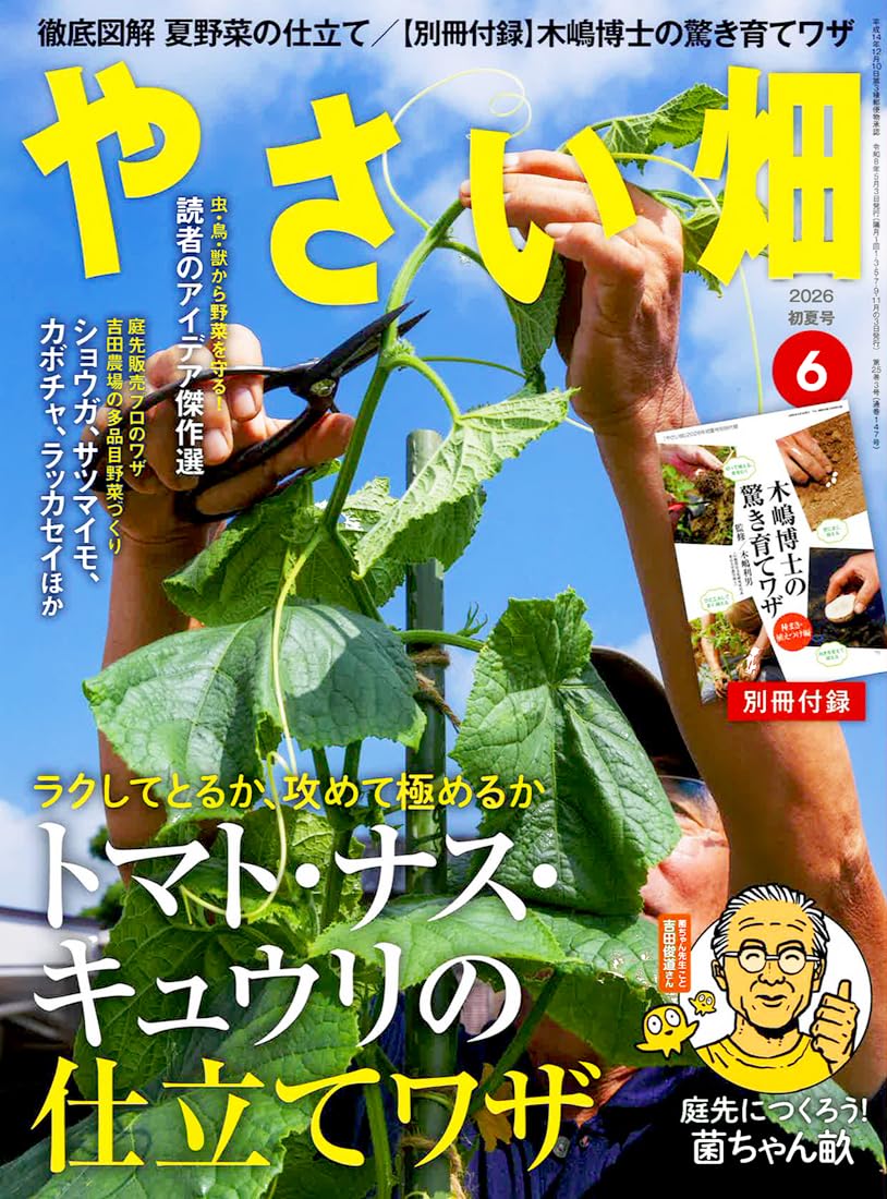 やさい畑 初夏号 2026年 6月号 | やさい畑編集部 |本 | 通販 | Amazon