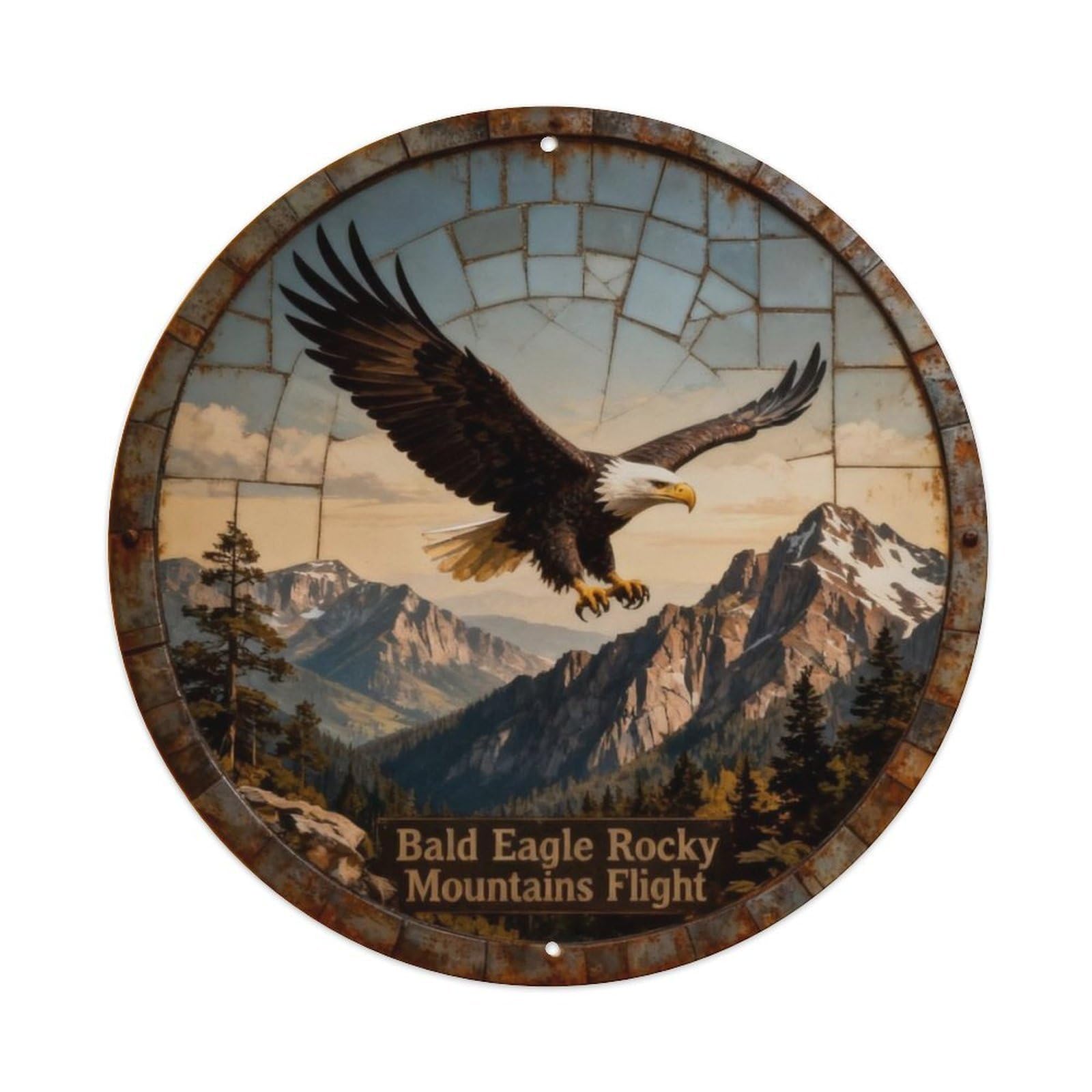 Bald Eagle Rocky Mountains Flight Metal Tin Sign Plaque
