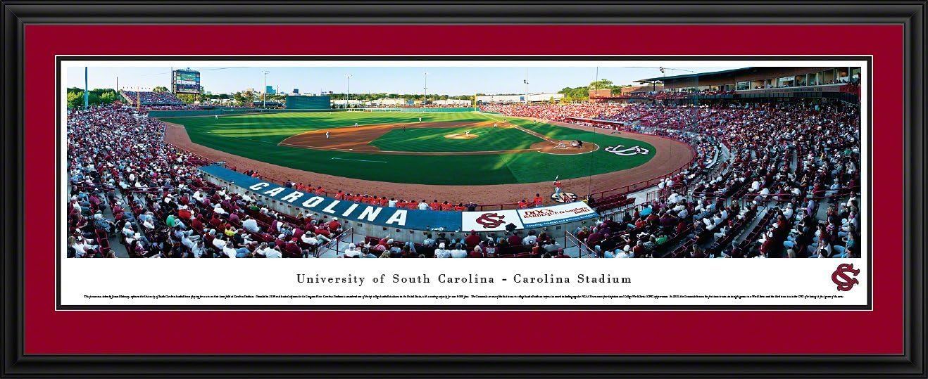 South Carolina Baseball - Blakeway Panoramas College Sports Posters