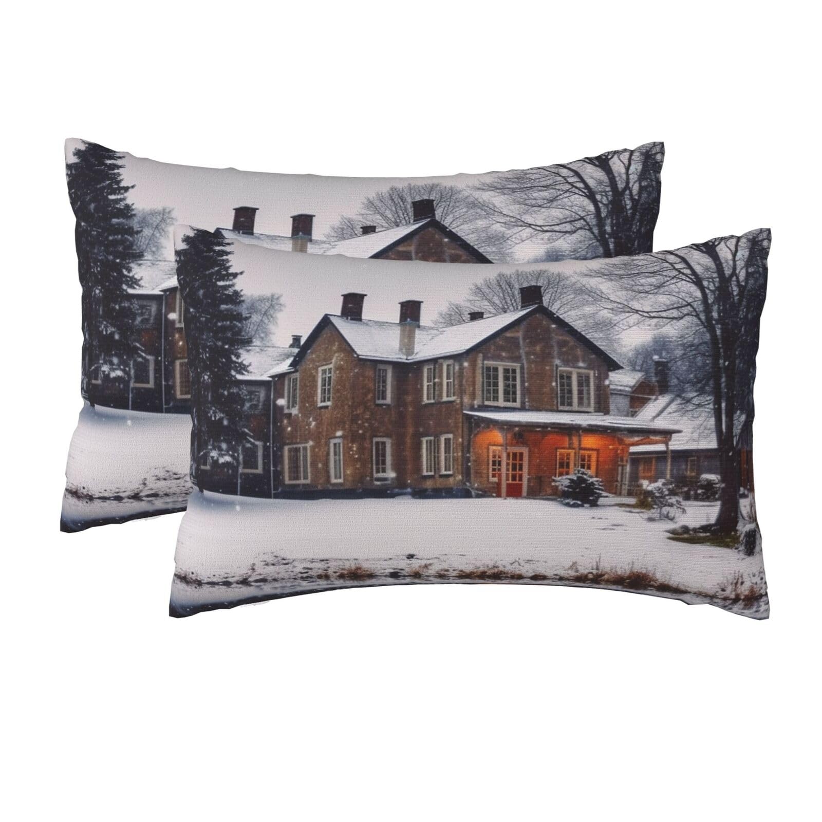 2 Pack Queen Size Pillow Cases for Hair and Skin Soft Breathable Pillow Case Covers with Hidden Zipper Winter Farmhouse Pillowcase 20x30 Inches Pillow Cover for Sleeping Gift