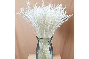 Iory Dried White Romantic Natural Dried Lavender Flowers Bouquet Sticks (2 Packs)