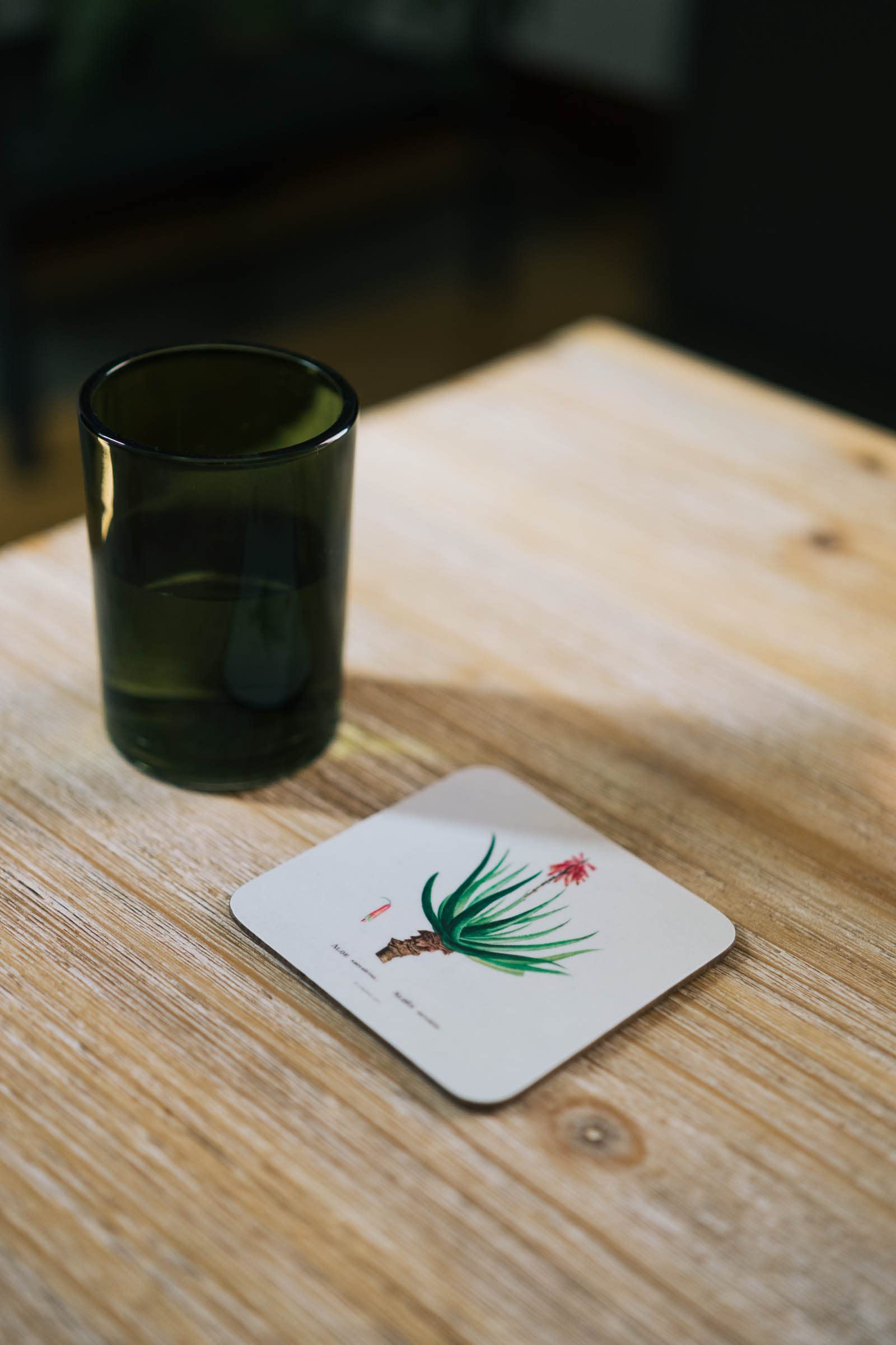 Grupo Erik Botanical Cacti Coasters Set Of 4-4 x 4 inches / 10 x 10 cm, Cork Coasters, Drinks Coasters, Beermat - Image 4