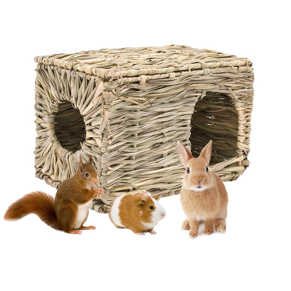 Tapis de jeu pour lapin en herbe tressée, accessoire d'enclos et cabane pour cochon d'Inde