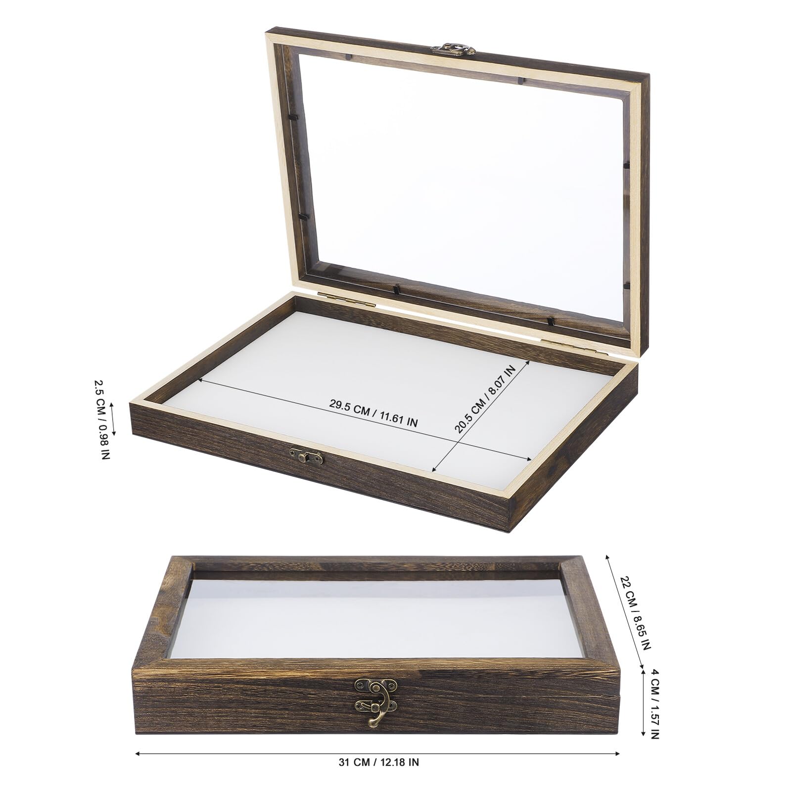 Caja de Muestras de Insectos con Tapa Transparente y Protección contra Polvo, Marco de Madera Acrílica para Exhibición y Colección de Especímenes Pequeños Estilo