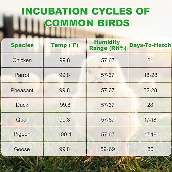 Egg Incubators for Hatching Eggs with Temperature Control and Humidity Display Poultry Egg Incubator with Automatic Egg Turning and Egg Candler for Chicken Duck Goose & Quai