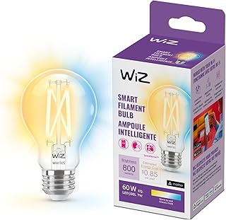 Wi-Fi A60 Filament Bulb Tunable White