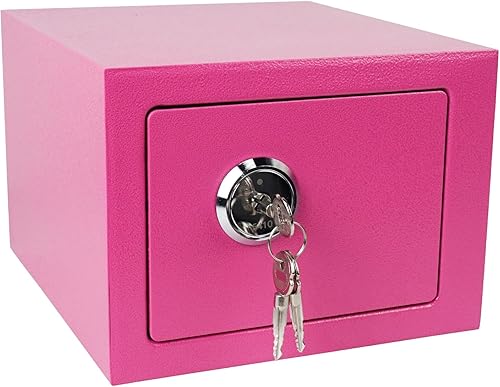 Luwint Caja de seguridad pequeña de acero con llave, uso doméstico general, 9.5 x 9 x 6.5 pulgadas (rosa)