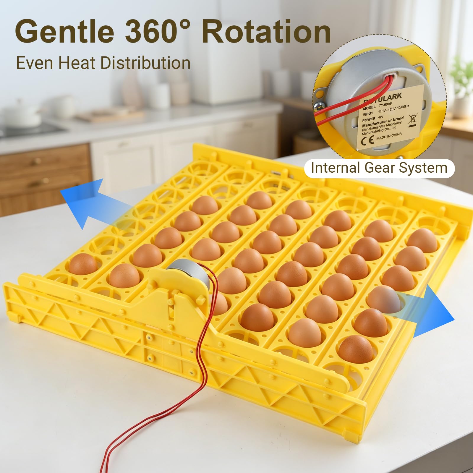 Spatule automatique (56 œufs)