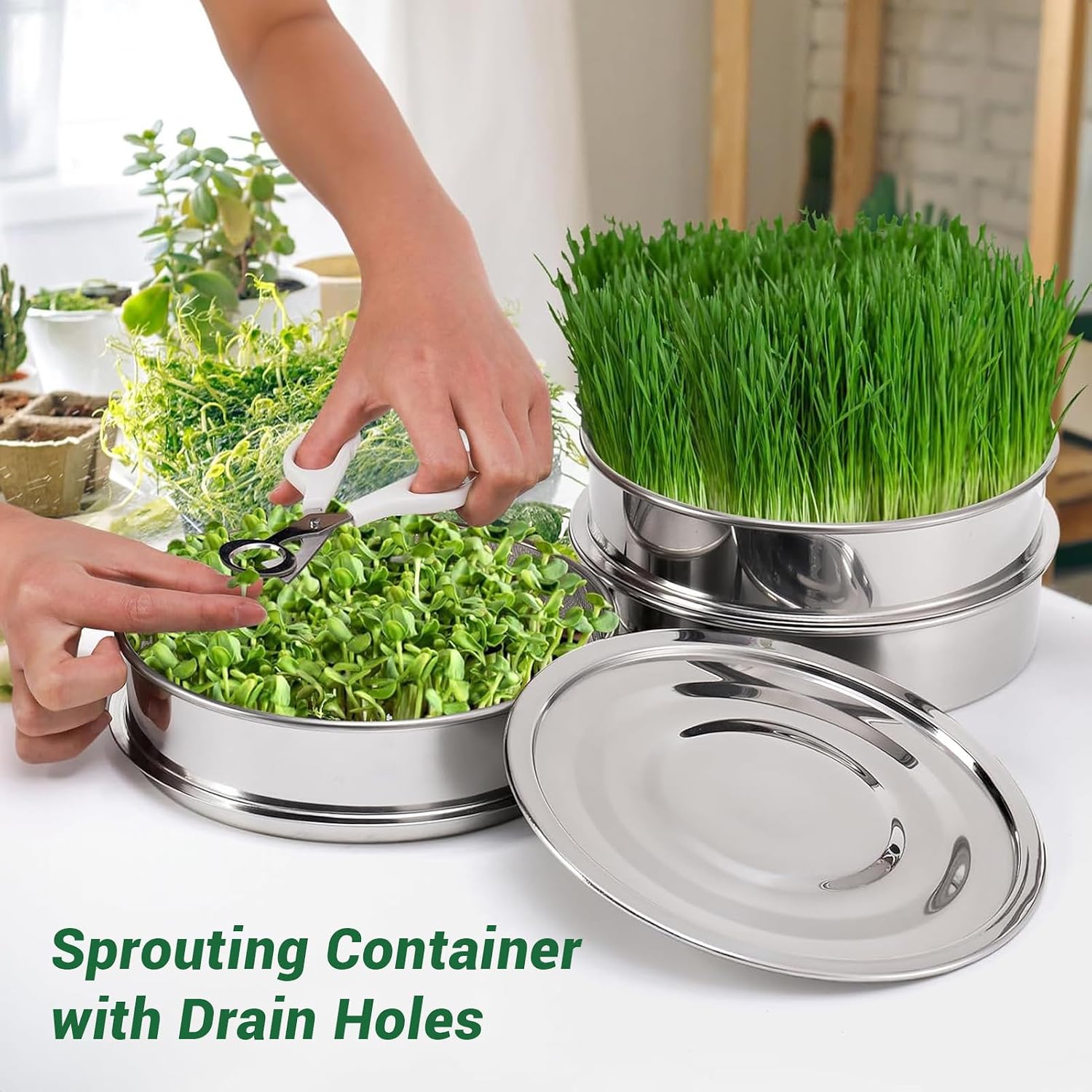 Tissting Stackable Seed Sprouting Kit, 6.7in Stainless Steel