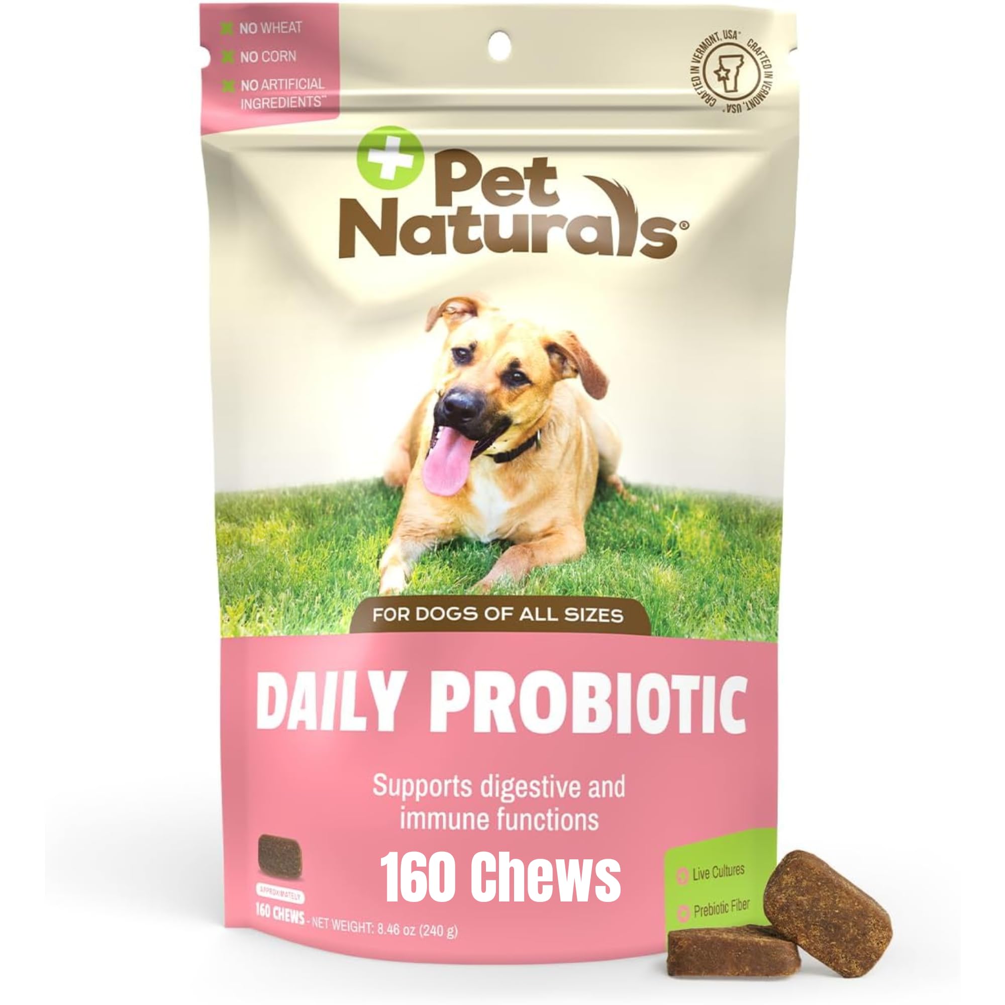 Pet Naturals of Vermont - Daily Probiotic for Dogs, Digestive Health Supplement, 160 Bite Sized Chews, 8.46 Ounce (Pack of 1)