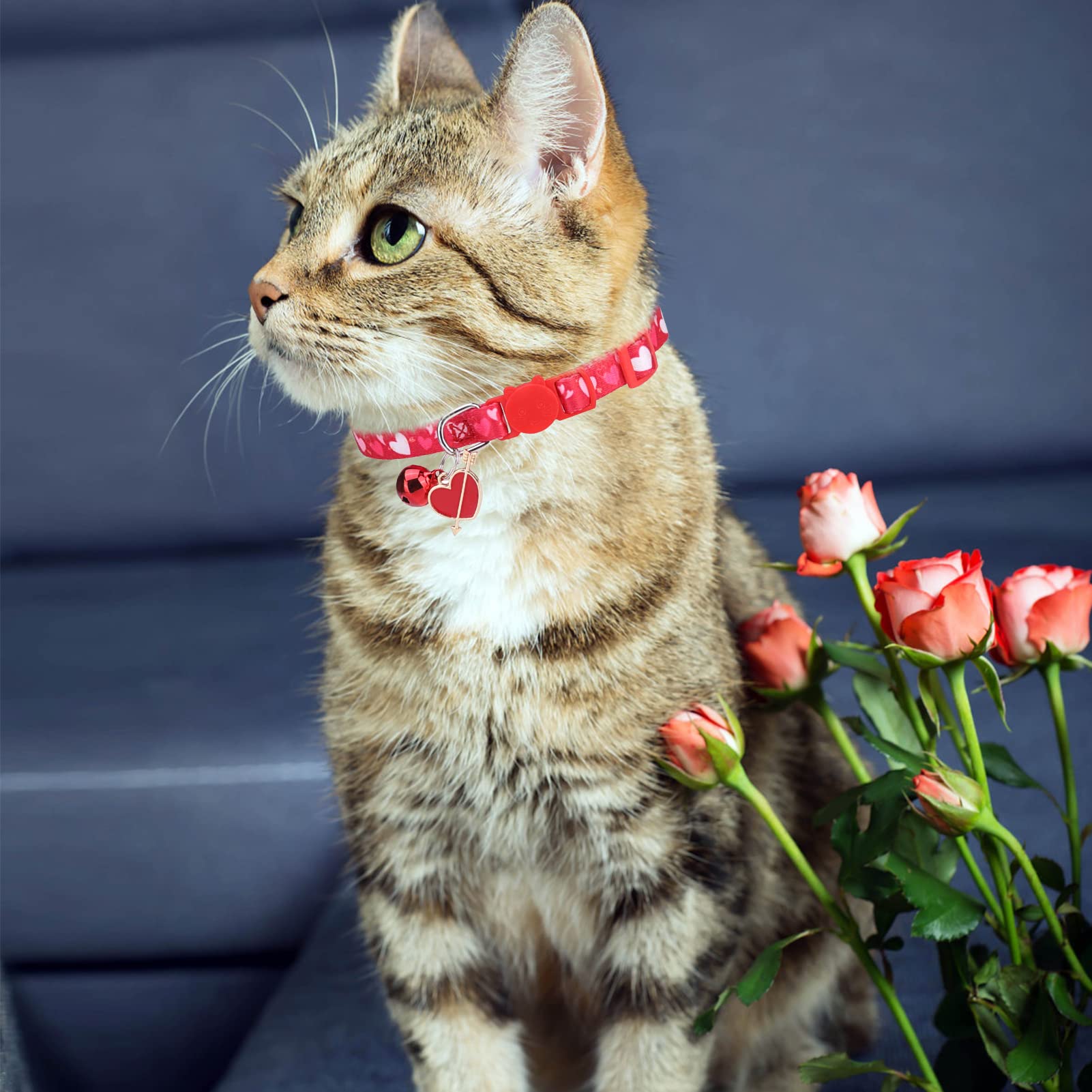 Collares de gato Breakaway para el día de San Valentín, collares ajustables para gatitos con campana y bonitos colgantes, decoración para niñas, niños, gatos, cachorros y mascotas pequeñas