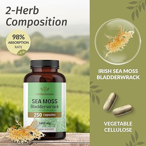 Miniatura 4 de HERBAMAMA Cápsulas de musgo marino irlandés, 1600 mg de musgo marino y vejiga para apoyo inmunológico, vegano, suplemento de inmunidad sin OMG