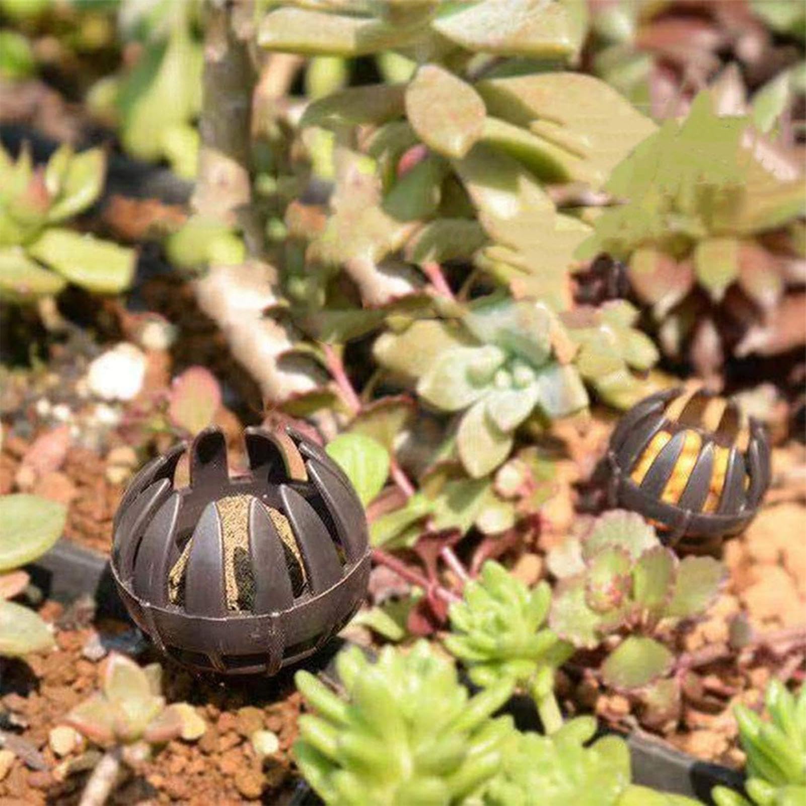 Bonsai Düngerkörbe, Düngerkörbe für Orchideen - 100 Stück Düngerbehälter