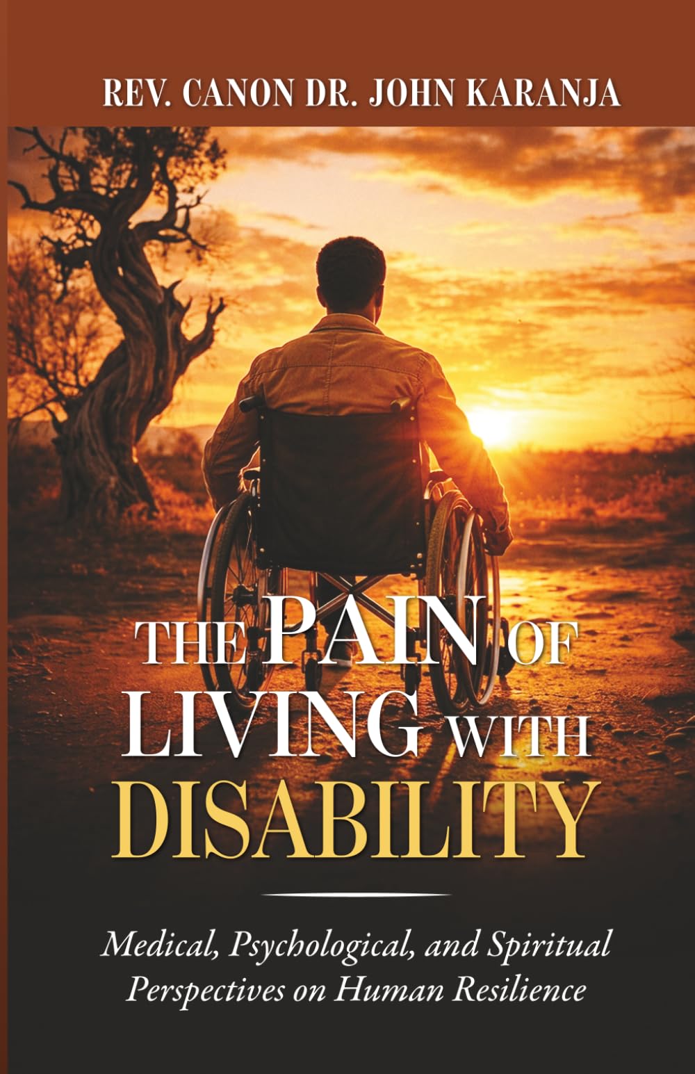 The Pain of Living with Disability: Medical, Psychological, and Spiritual Perspectives on Human Resilience