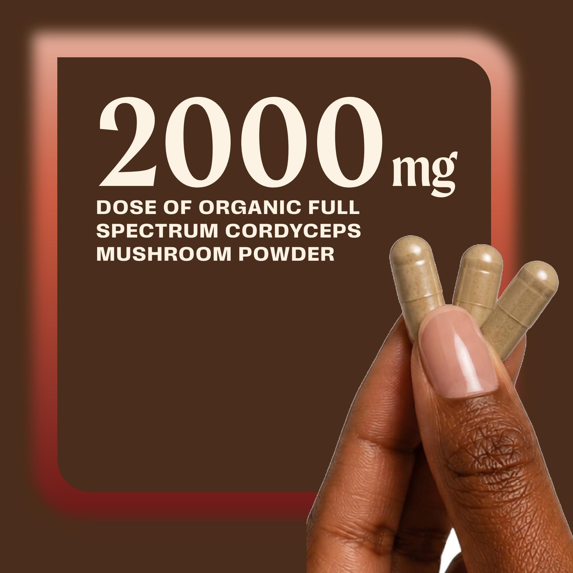 OM MUSHROOM SUPERFOOD Cordyceps Mushroom Capsules Superfood Supplement, 90 Count, 30 Days, Organic Energy Supplement for Stamina and Endurance — Amazon image 5