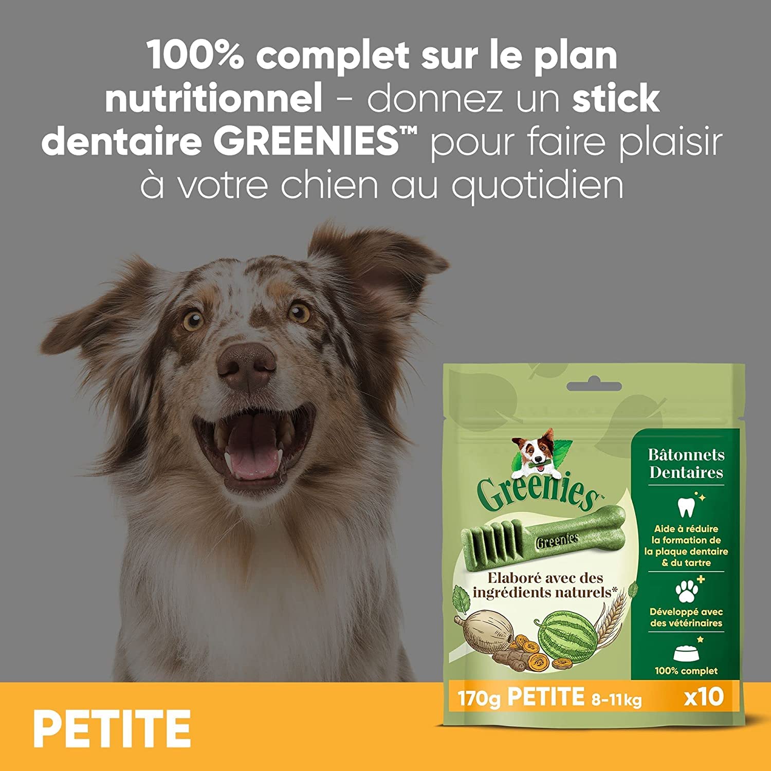 GREENIES Original Petite – Friandises à mâcher pour petit chien – 20 sticks pour une bonne hygiène bucco-dentaire – 1 sachet de 340g