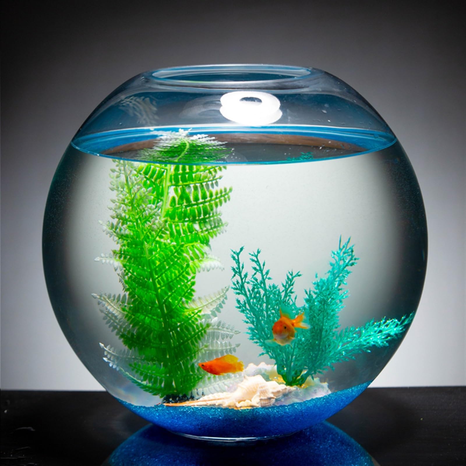 大型ガラス水槽 Amazon | 水族館 厚手の透明ガラス製水槽 円形大型水槽