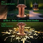 Solar Bird Feeder with LED Lantern, Dragonfly Pattern, Metal, Waterproof, Hanging Design, 2 lbs Capacity, 6.3 x 6.3 inches,