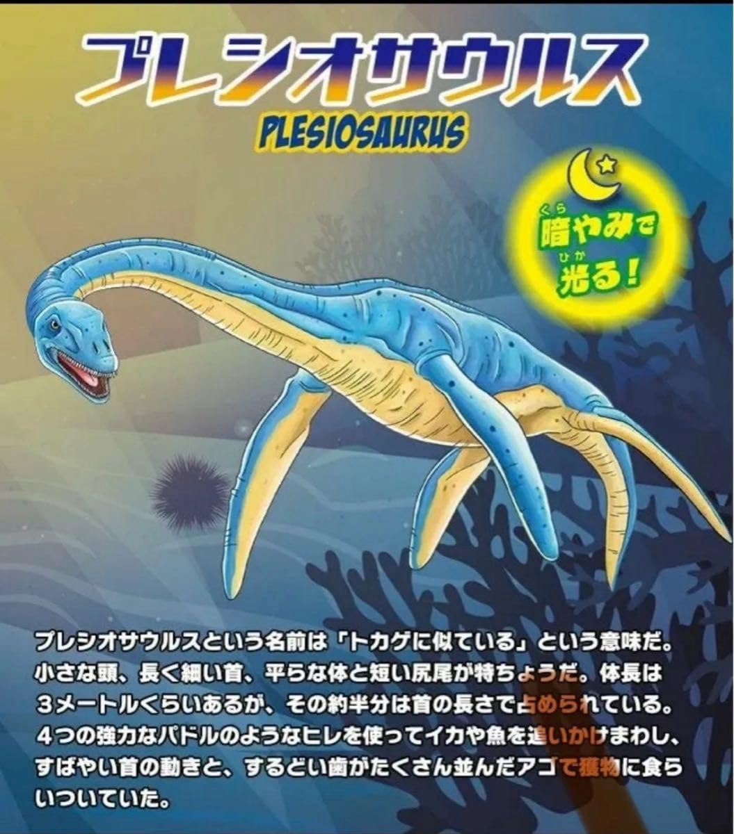 Plesiosaurs プレシオサウルス プレシオサウルス（Plesiosaurus） | 探そう！好きな恐竜