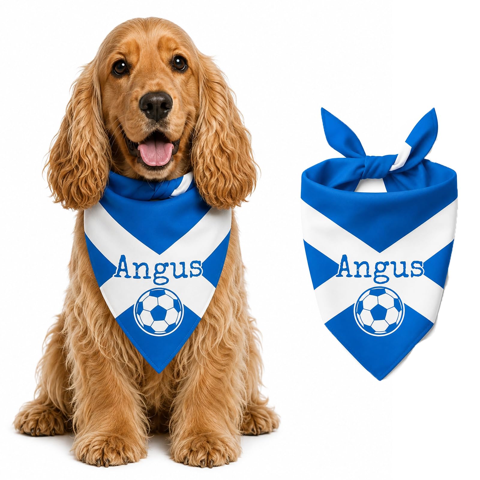 Personalised England Football Dog Bandana, Custom Dogs Bandana World Cup 2026 with Pet Name, Customised Pets Bandana for Medium Large Dogs
