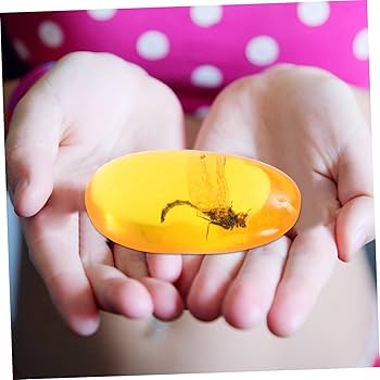 樹脂の化石【超激レア】 Amazon | CALLARON 琥珀の化石 ユニークな石 樹脂昆虫標本 昆虫