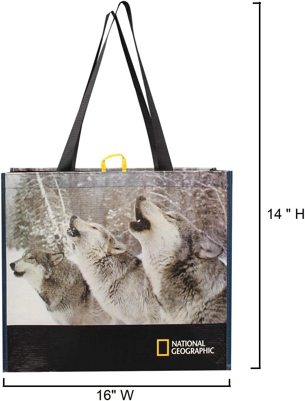 Reusable Grocery Bags Shopping Totes with National Geographic Prints Heavy Duty Made From Recycled Plastic Bottles Laminated Rpet ( Set of 3) (Eagle/Bear/Wolves) : Home & Kitchen