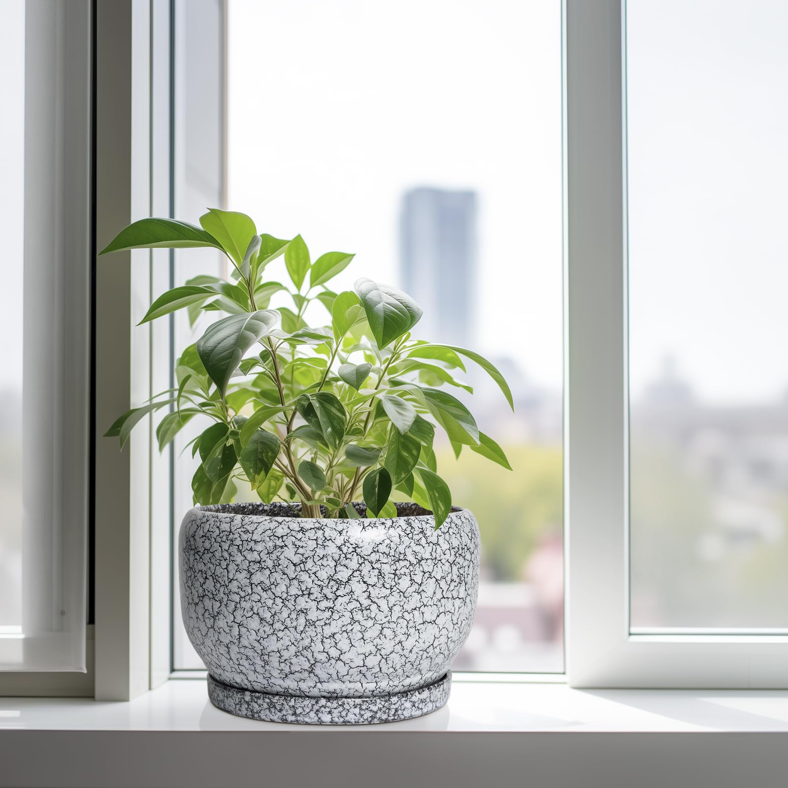 SQOWL Keramik-Pflanzgefäße – 25,4 cm Keramik-Blumentopf mit Ablaufloch und Untersetzer, dekorativer Blumentopf für den Innenbereich, runder großer Übertopf für den Außenbereich, Badezimmer-Dekor