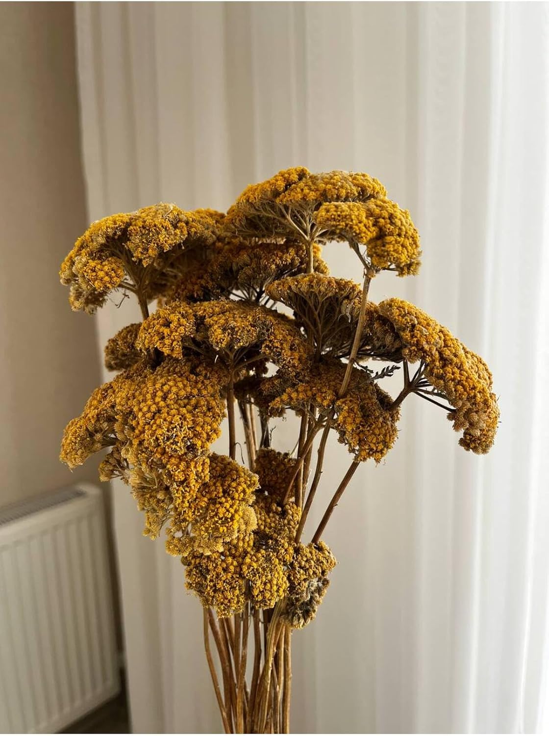 Dried Flowers Yarrow Bunch Yellow Floral Arrangement Home Decor Craft Supply - Yellow