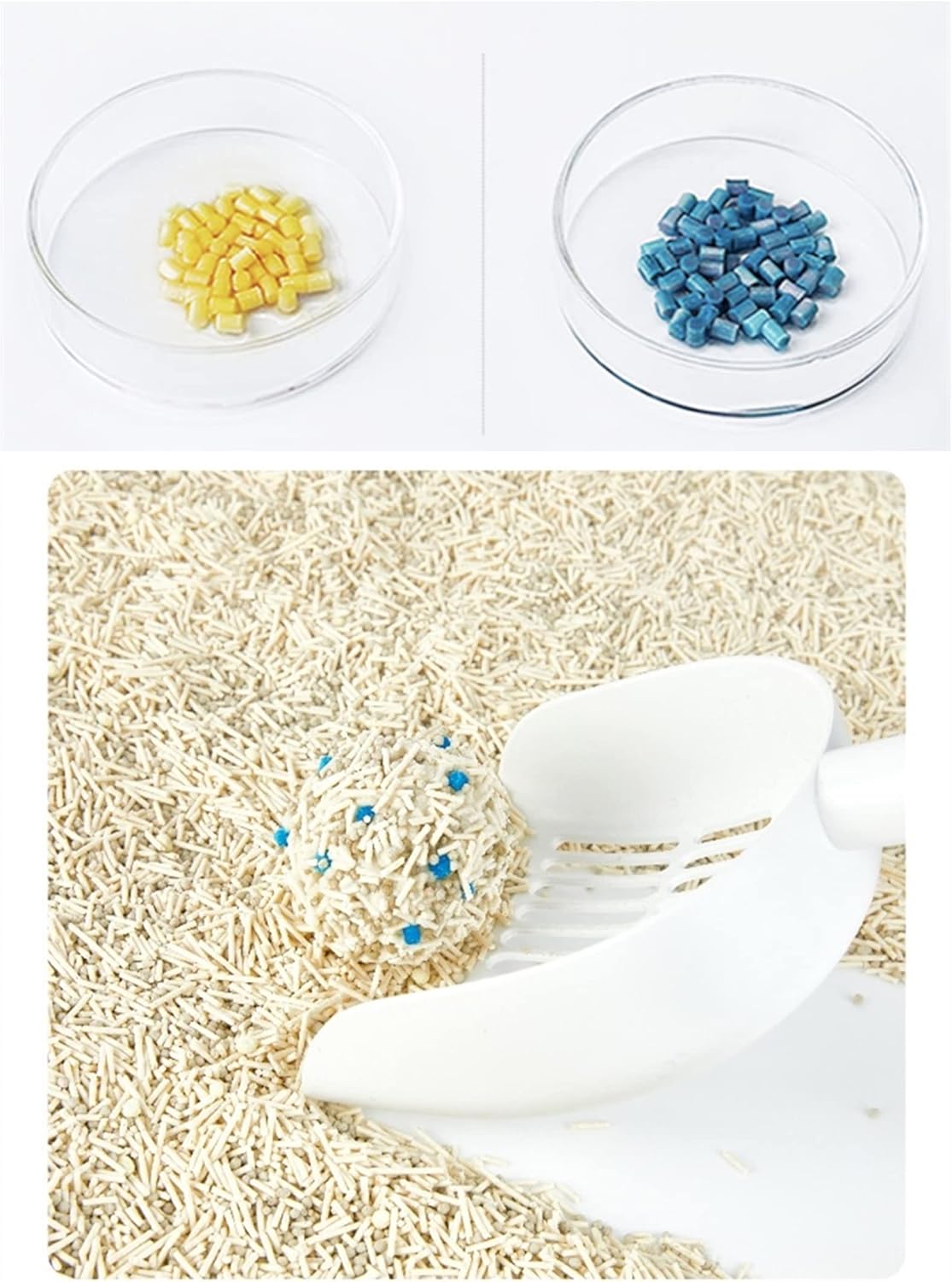 PETOGETHER Occult Blood Detect Cat Litter Cat Urine Test