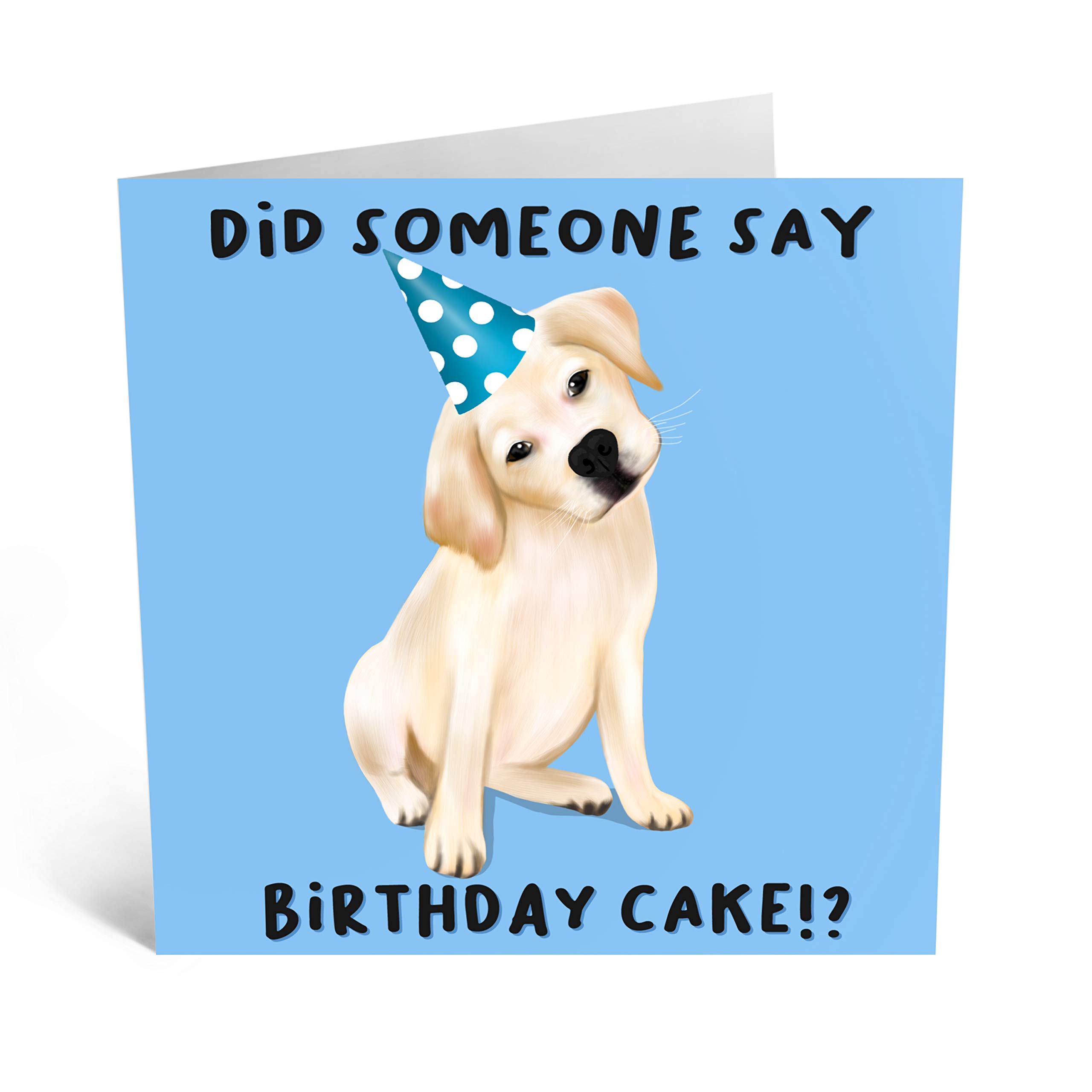 Central 23 Biglietto auguri di buon compleanno – Procione – Biglietti auguri divertente per uomini e donne – Regalo per mamma papà figlio figlia lui lei – Viene fornito con adesivi