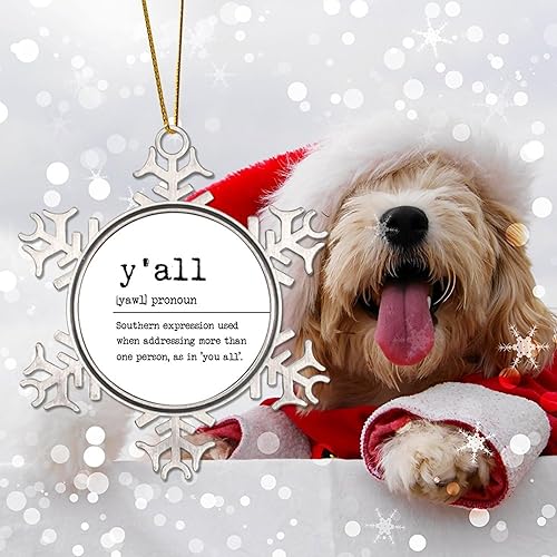 Miniatura 4 de Metal Christmas Ornament Y'all Definition Ornament Y'all Noun Definition Snowflake Metal Ornament Xmas Keepsake Words with Definition Christmas
