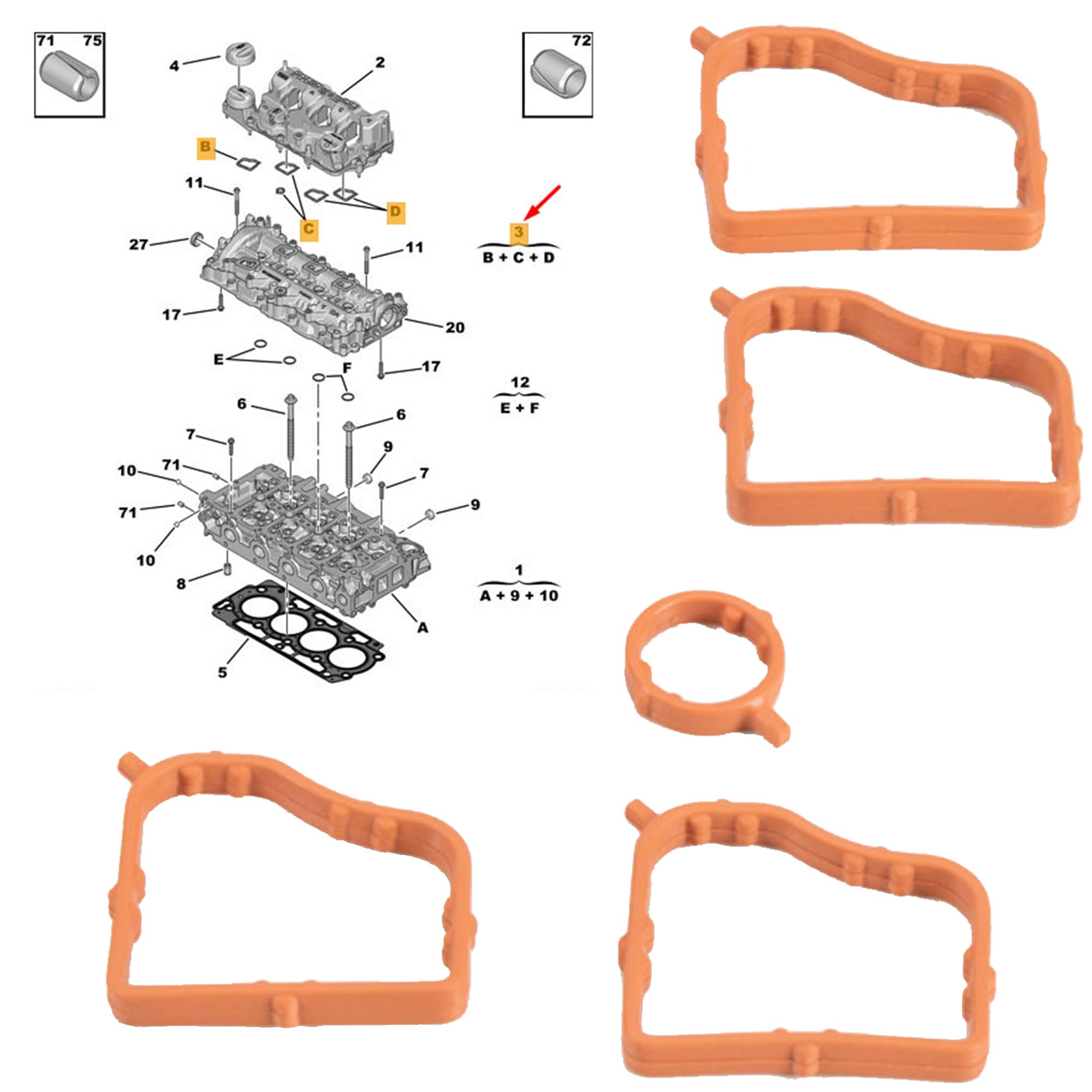 Partsline Kit d'arbre à cames avec chaine de 8 mm, poulie, vis de poulie et joints compatible avec les motorisations 1.5 HDI BlueHDi Ecoblue D-4D - 1638159880 9830580480 1682801980 9819923680