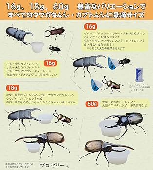 Amazon | K B ファーム プロ ゼリー バナナ 風味 18g × 70個 高