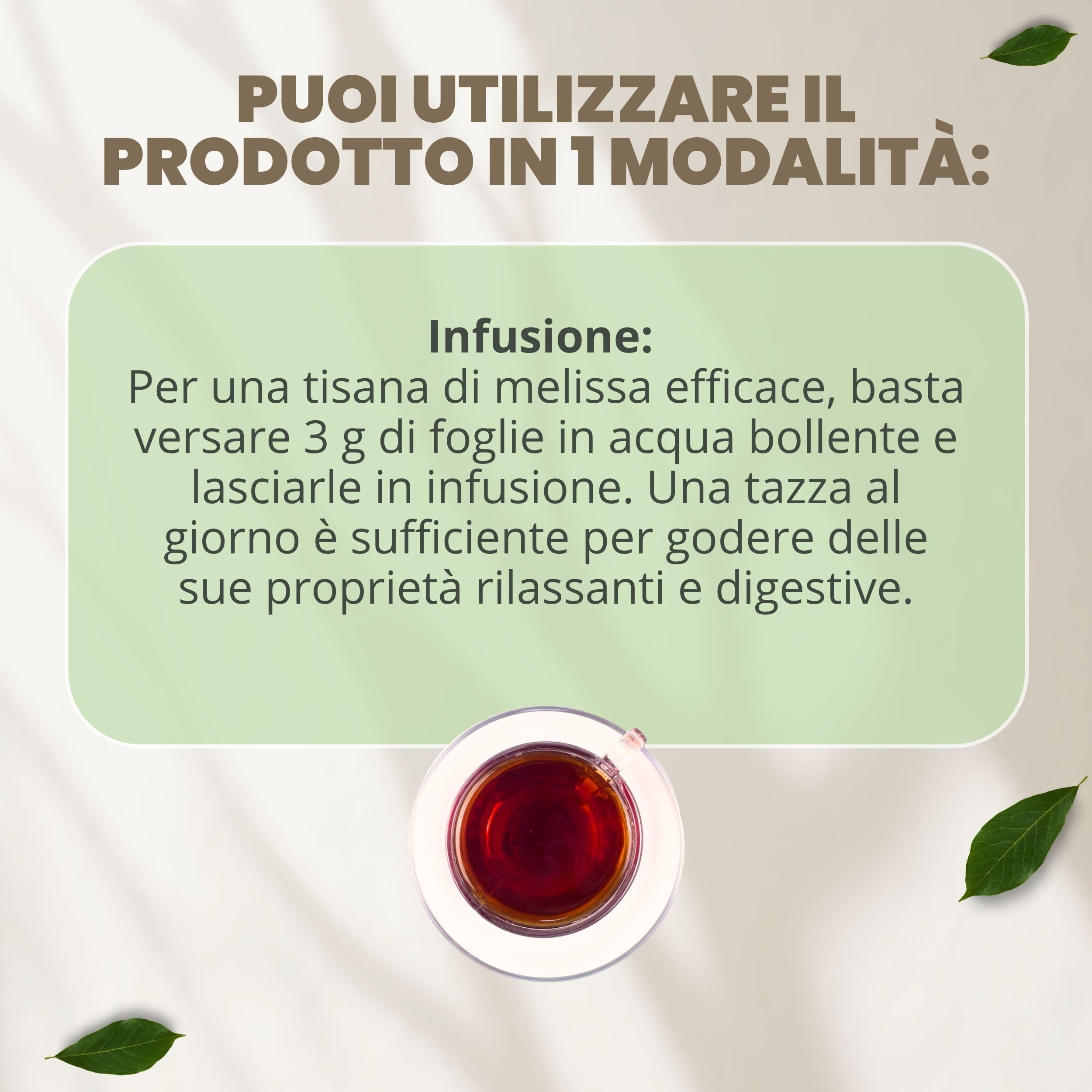PATRIZIO BRESEGHELLO - Melissa Foglie 1/2 cm Taglio Tisana 500 g - Melissa 100% Naturale per Infuso e Tisana Rilassante, Digestiva e Carminativa