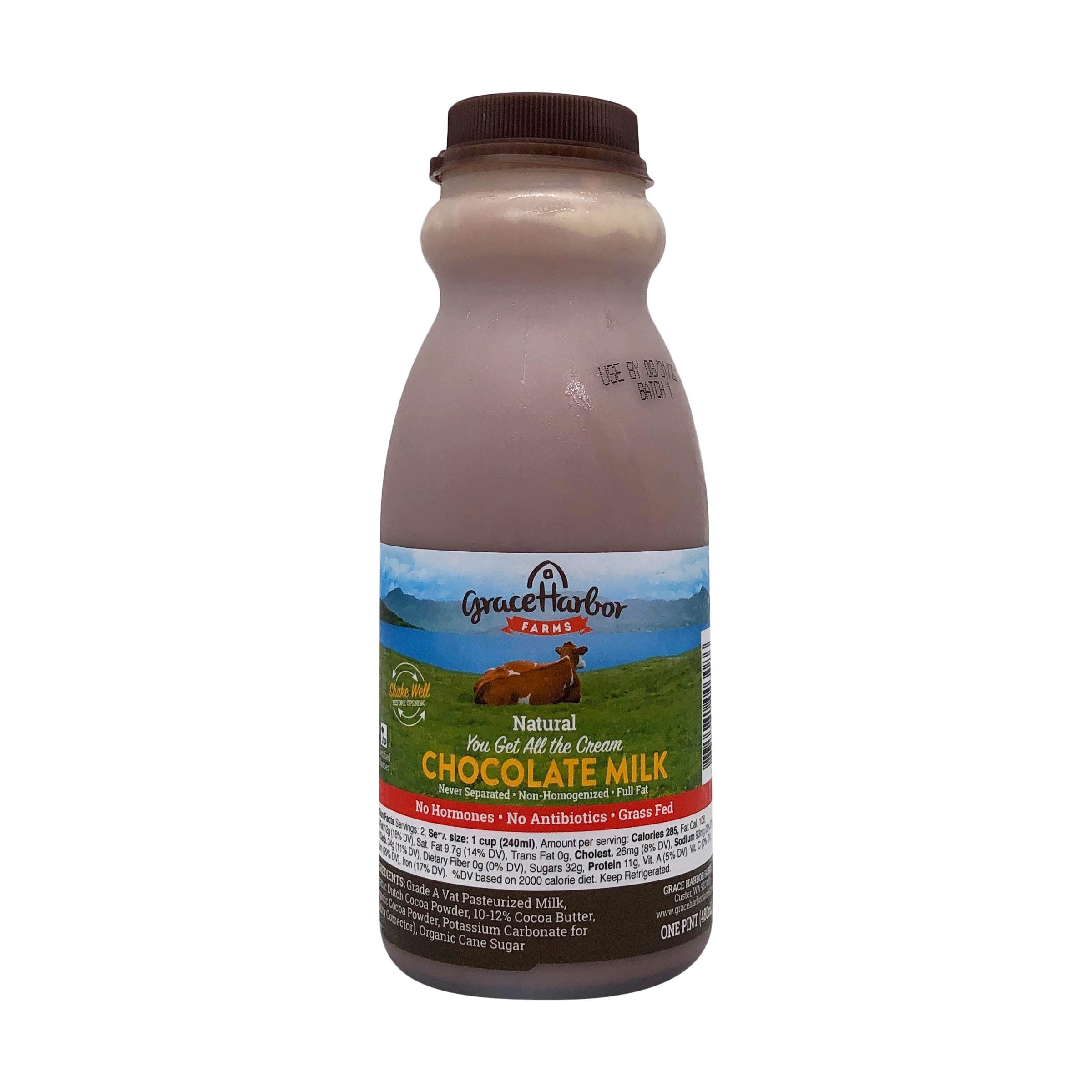 Chocolate Milk