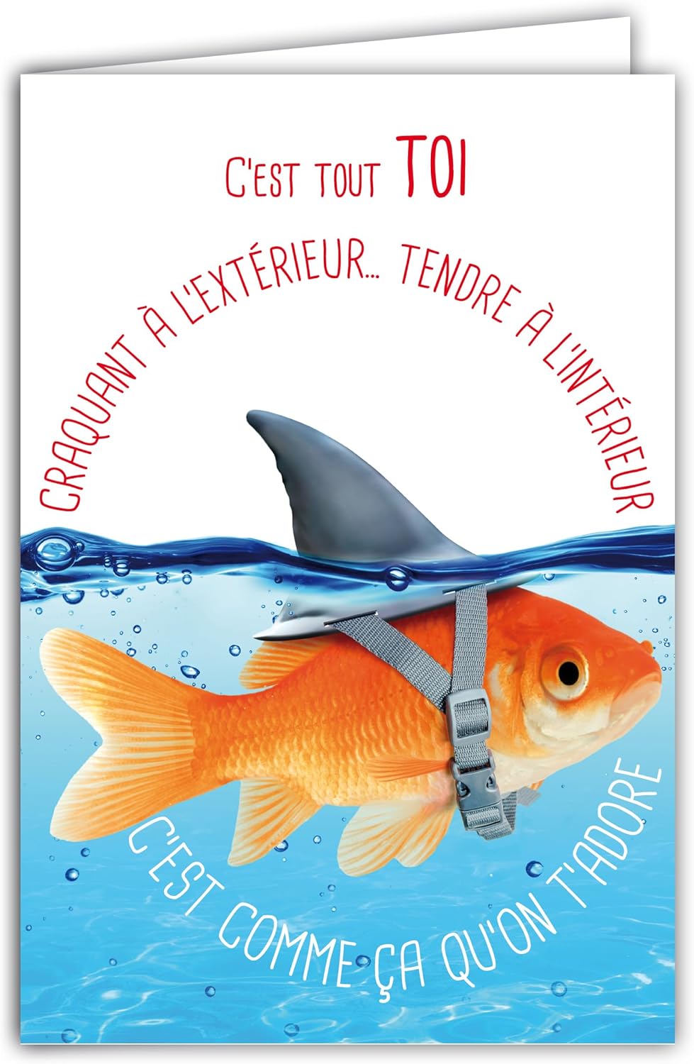 69-6217 Card for You Humorous Message with Illustrated Envelope 17.5 x 12 cm Goldfish Animal Funny Funny Funny Fancy Dress with Shark Fin Design Made in France