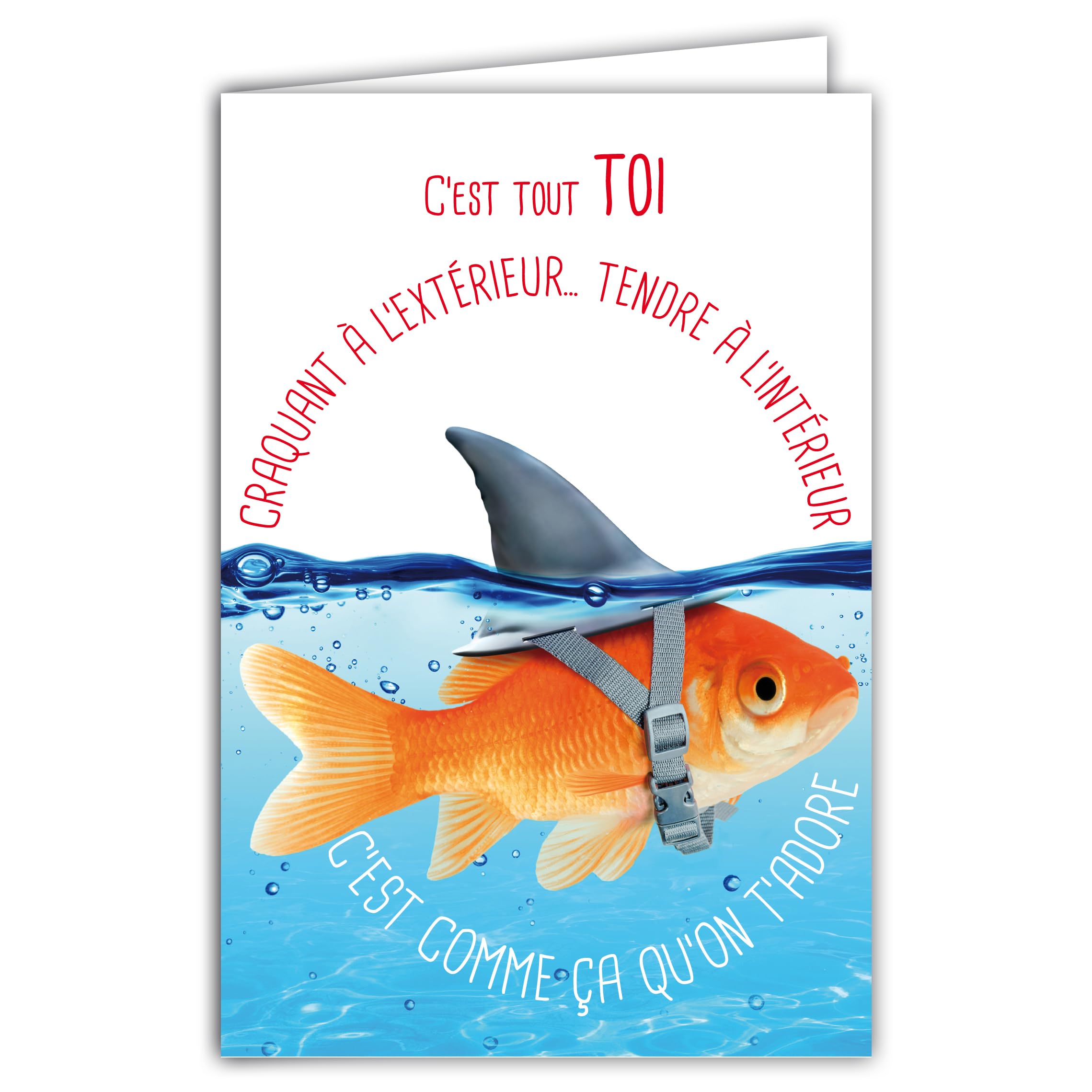 69-6217 Card for You Humorous Message with Illustrated Envelope 17.5 x 12 cm Goldfish Animal Funny Funny Funny Fancy Dress with Shark Fin Design Made in France