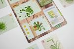 Buffalo Games Planted par Phil Walker-Harding - Buffalo Games : Collectez et cultivez des plantes d'intérieur - Soirée de jeux pour adultes - Jeu de construction de deck