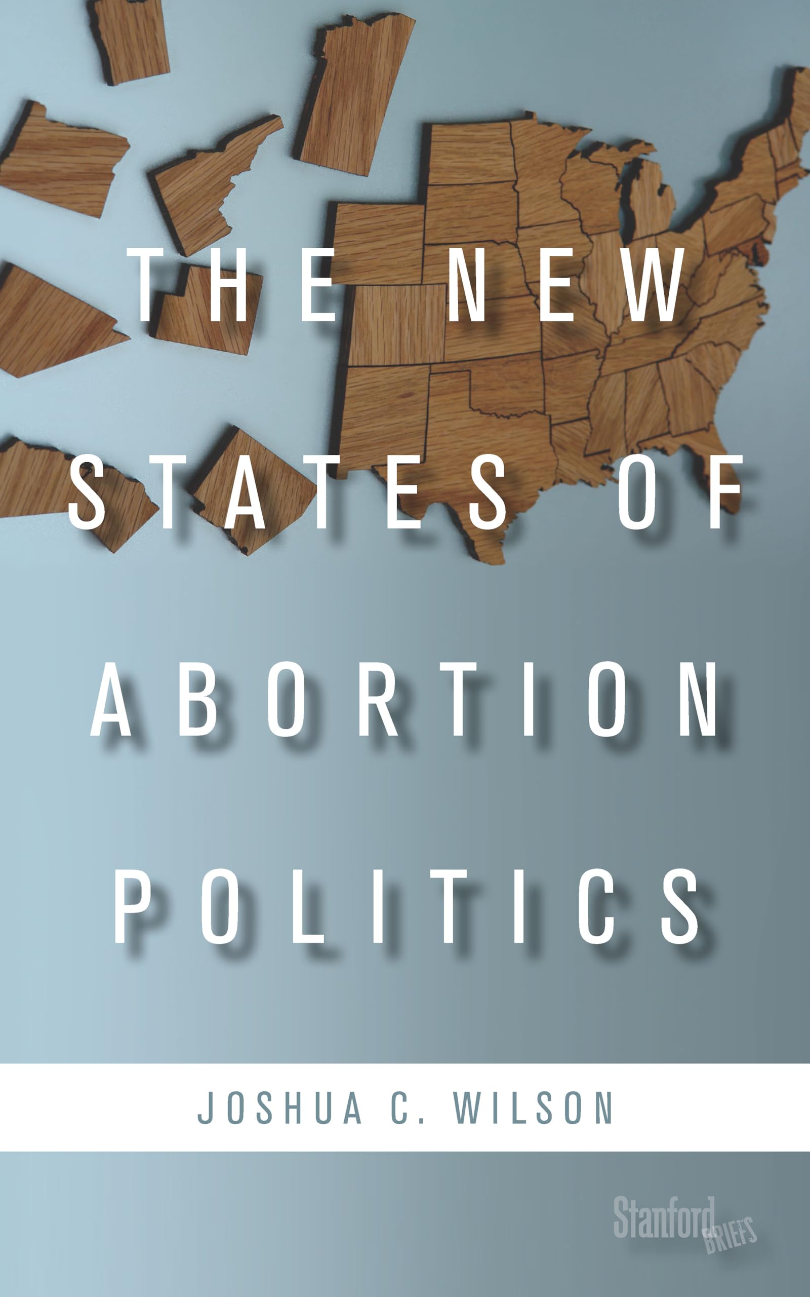 Buy The New States of Abortion Politics — BookShops.in