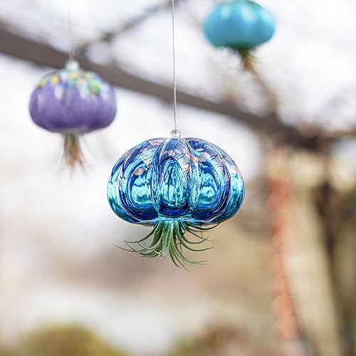 Miniatura 9 de H&D HYALINE & DORA Maceta colgante de medusas de vidrio soplado, bonito soporte para plantas de aire de medusa azul, regalo para habitación de