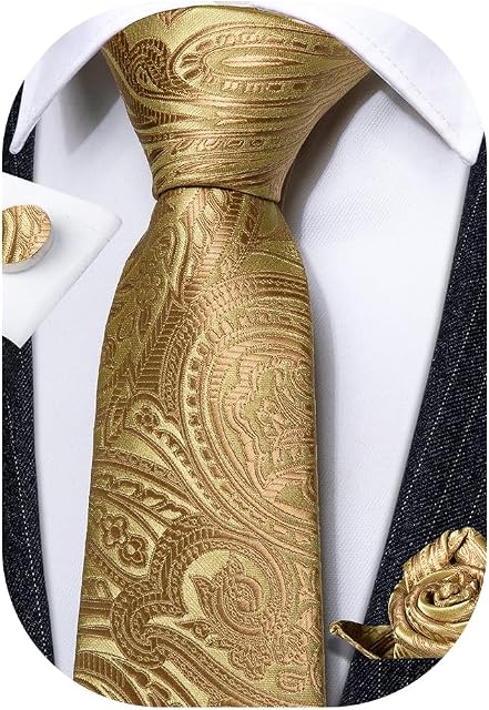 Barry.Wang Man Tie Set Pocket Square Cufflinks for Men Set Designer Ties Paisley