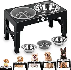 Comedouro Elevado Duplo para Cães Gatos Pet inox com Lento Cor Preto