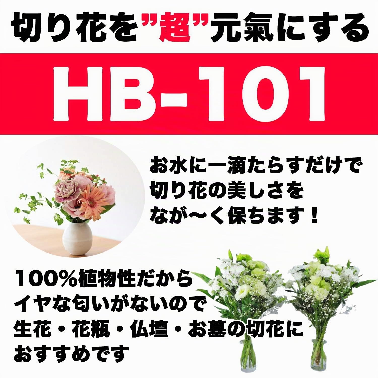 Flora HB-101 100cc PlantLiquid which strengthens very much the plant which a Japanese professional uses It is safe although people drink by the vegetable origin.