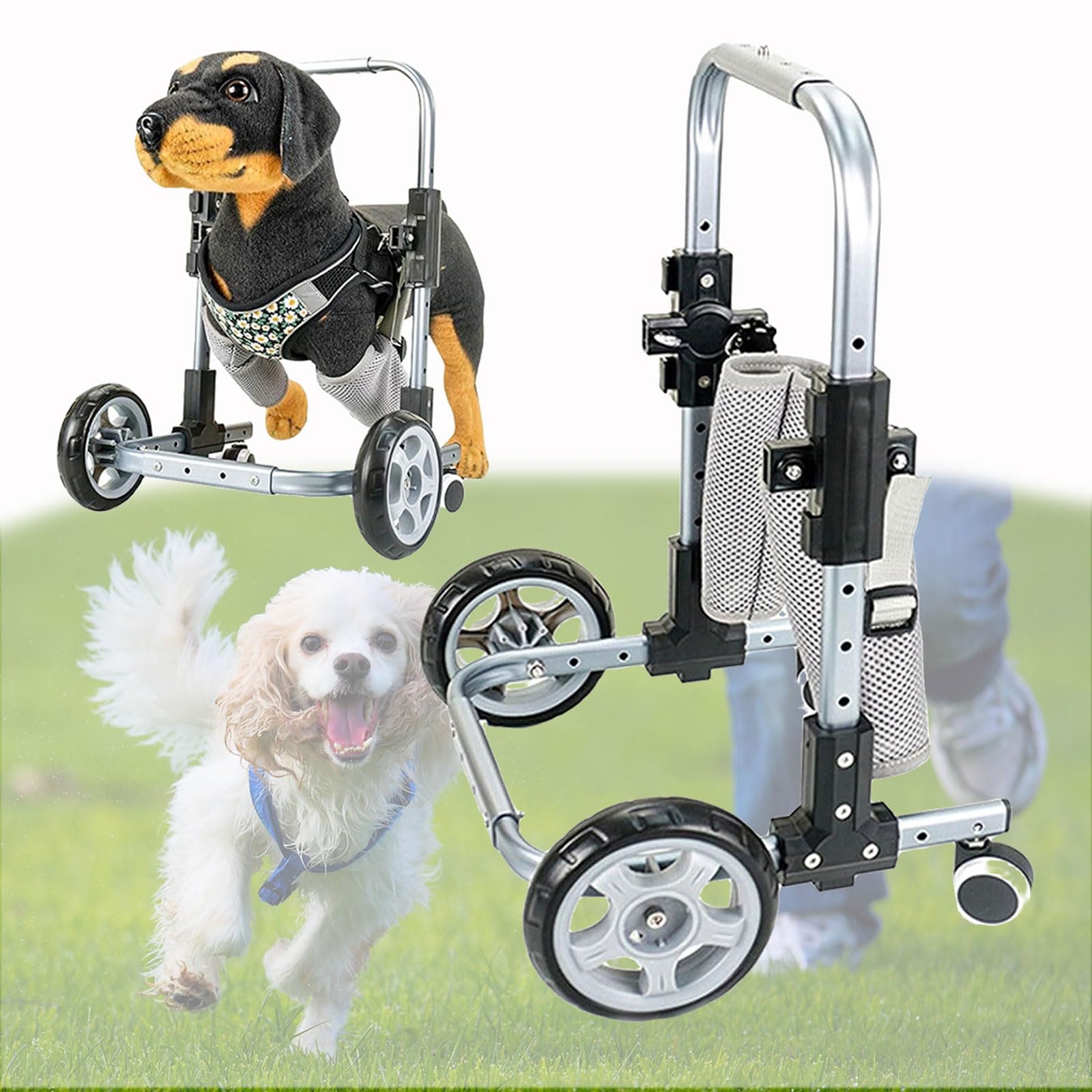 Silla de ruedas para patas delanteras de perro y mascotas discapacitadas pequeñas