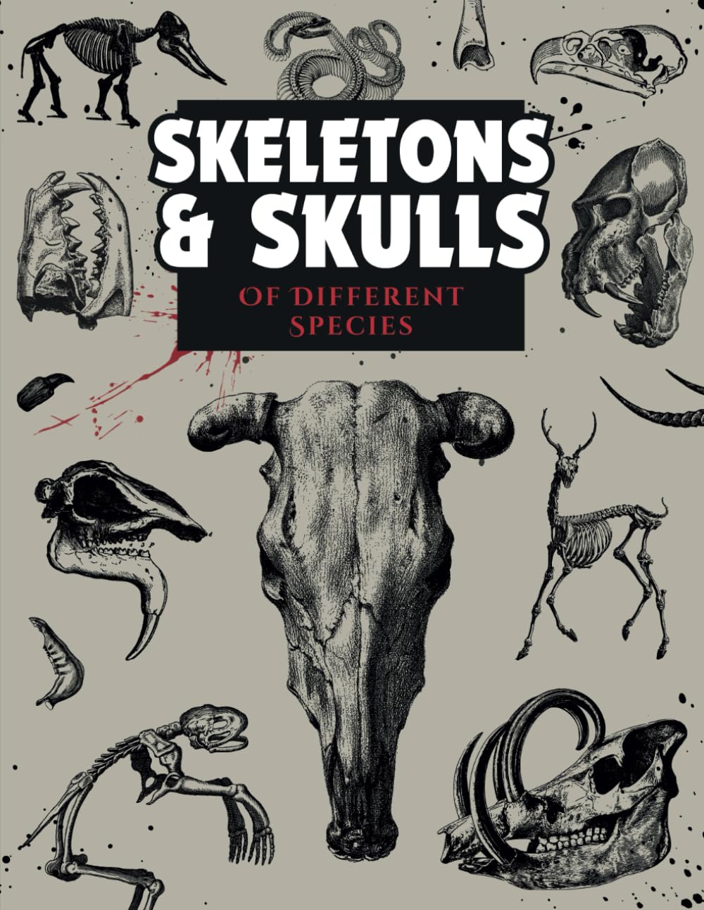 Skeletons & Skulls of Different Species: An Image Archive Reference Book for Designers and Artists – Over 150 Animal Anatomy Designs (Artistic Inspiration Series)