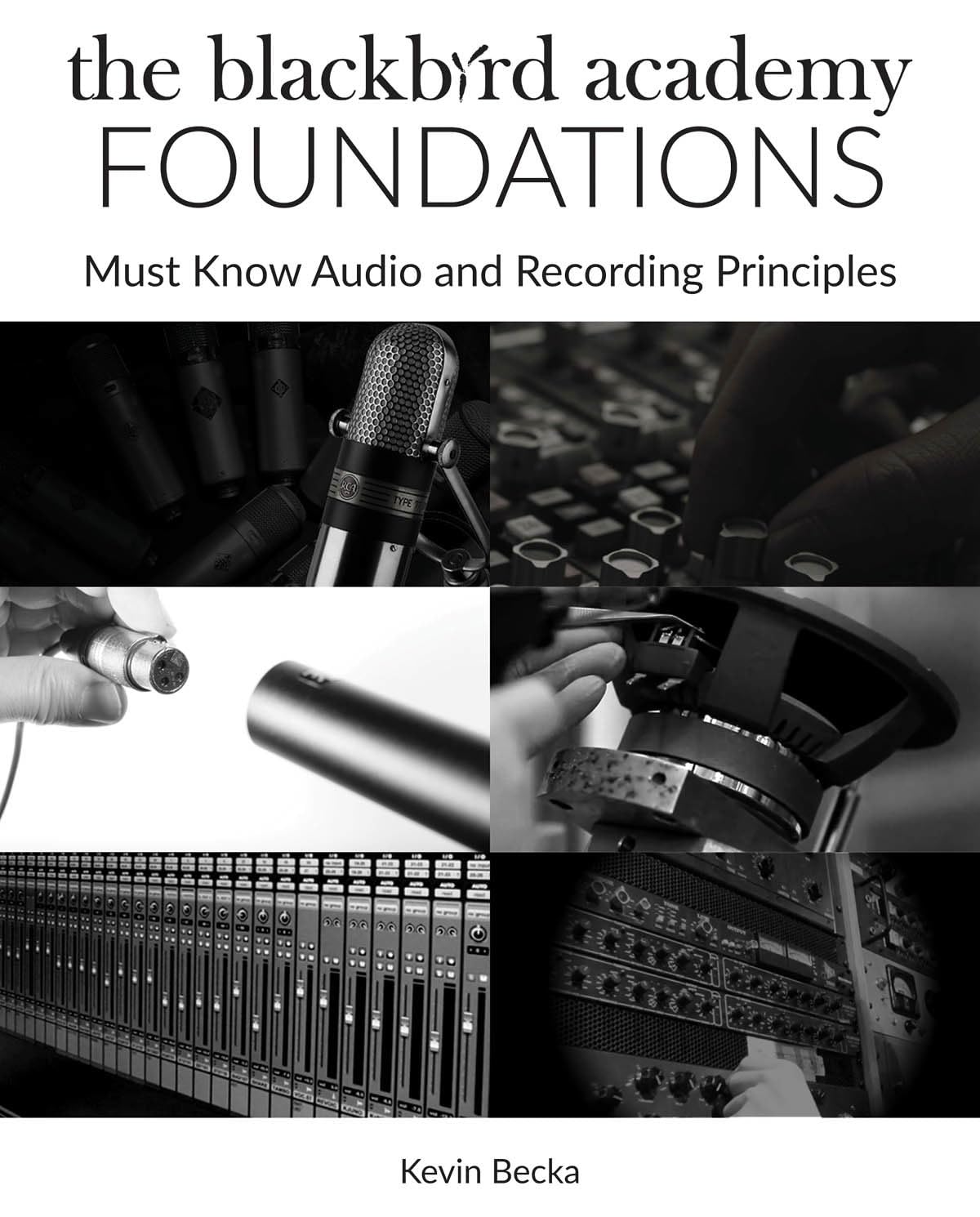 The Blackbird Academy Foundations Must Know Audio And Recording Principles  | Desertcart INDIA