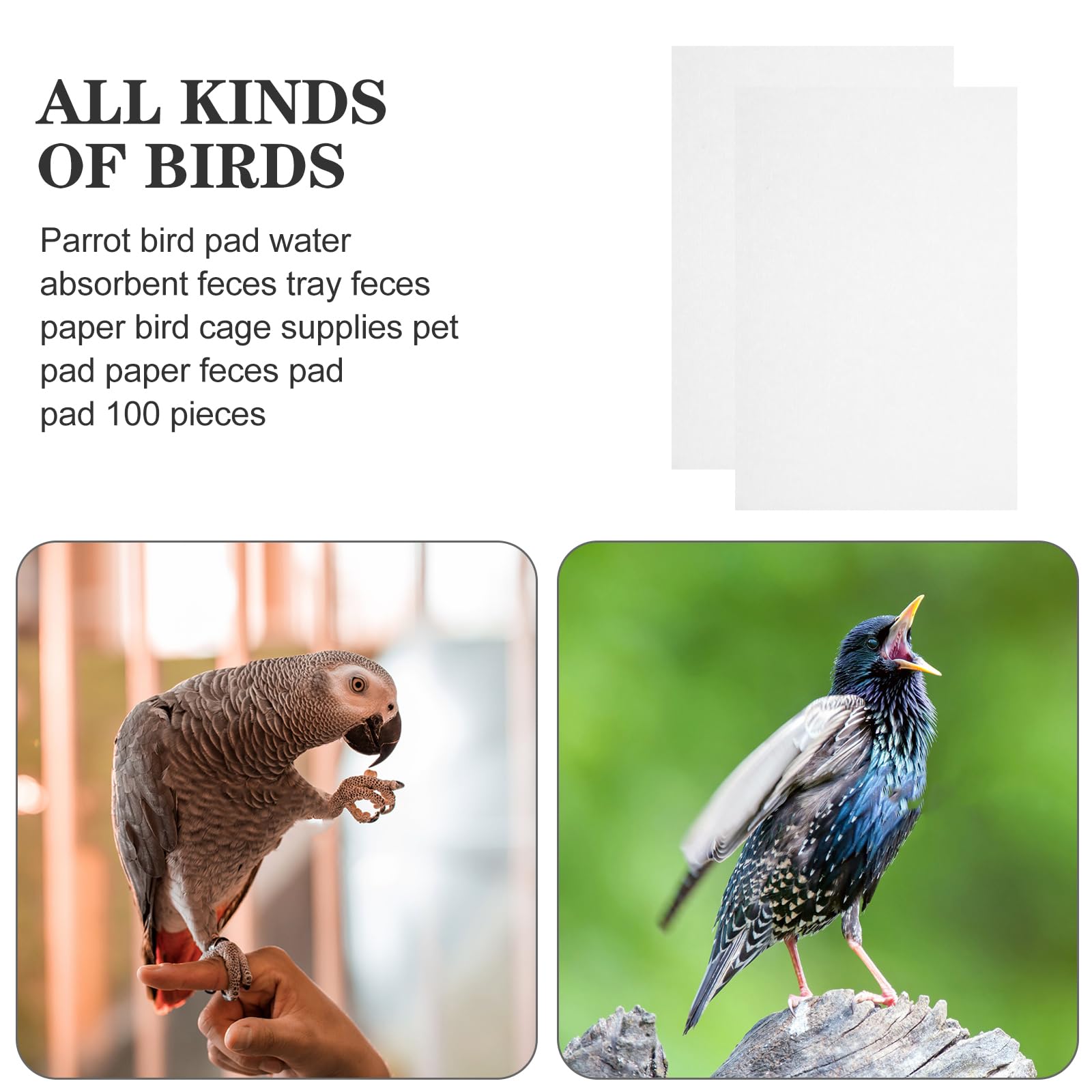 Housoutil Revêtements pour Cage à Oiseaux, 100 Pièces Cages à Perroquets Coussin, 22 * 15cm Fond De Cage Oiseaux, Coussin Doublures De Cage à Perroquet Für Den Kanarienkäfig