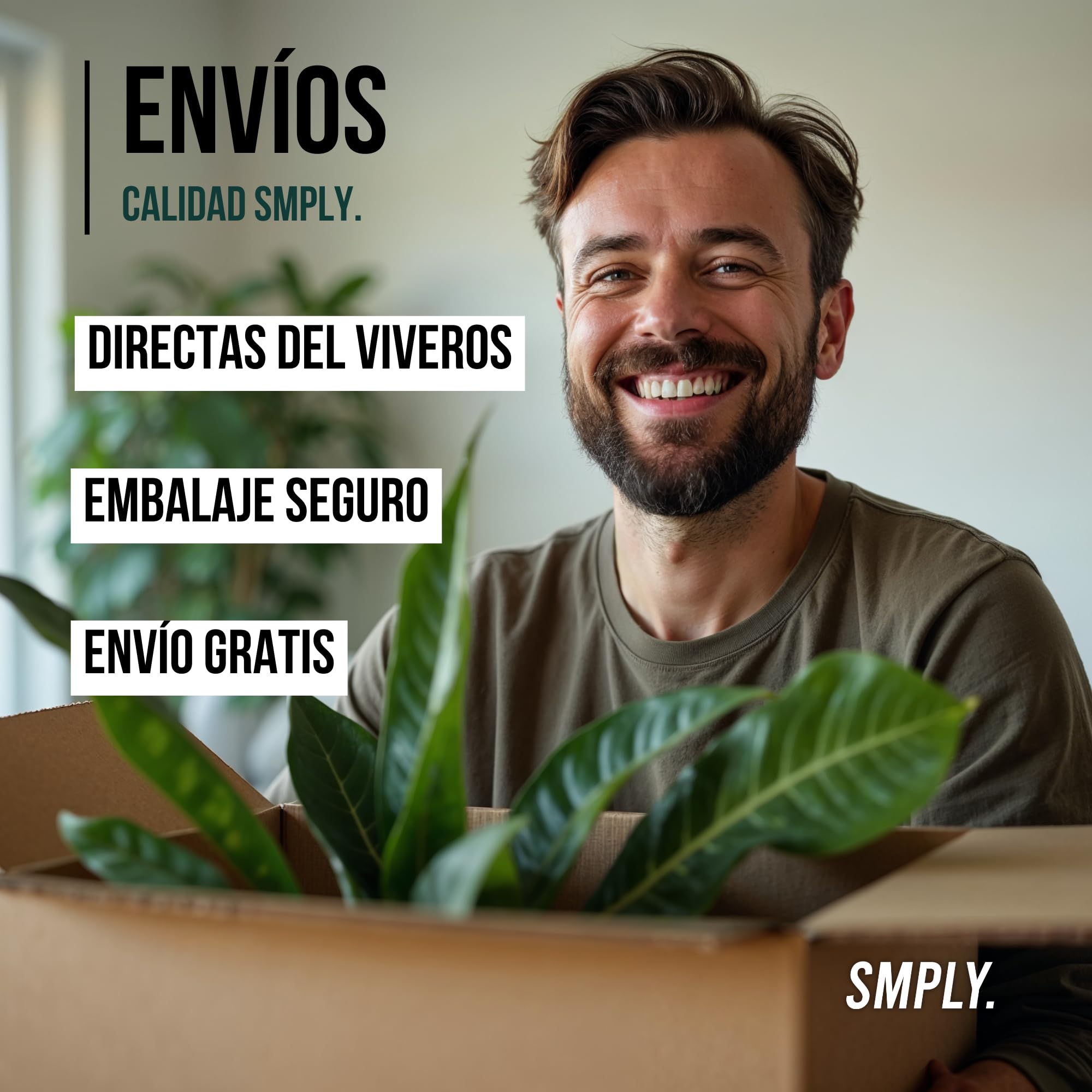 SMPLY. Pack 3 Plantas Naturales de Interior -Filtro Natural de Aire : Croton + Dieffenbachia Camillia + Palmera Areca Ø12 cm Alto 30-40 cm, Decoración del Hogar (No Incluye Maceta de cerámica)